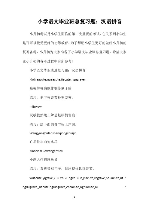 小学语文毕业班总复习题汉语拼音