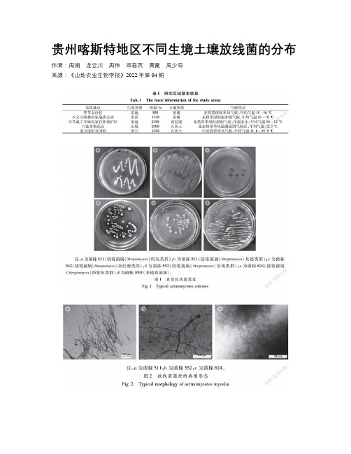 贵州喀斯特地区不同生境土壤放线菌的分布