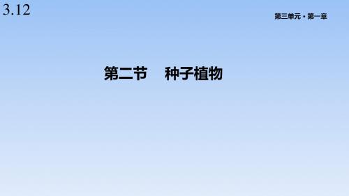 人教版七年级生物上册3.12《种子植物》课件