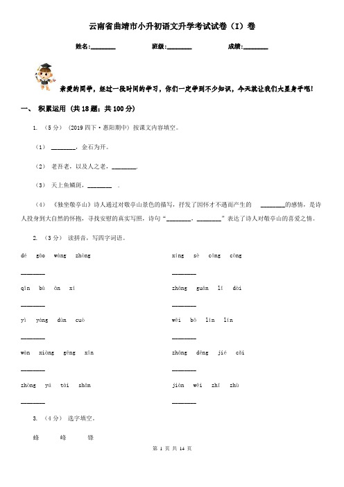 云南省曲靖市小升初语文升学考试试卷(I)卷