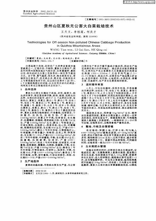 贵州山区夏秋无公害大白菜栽培技术