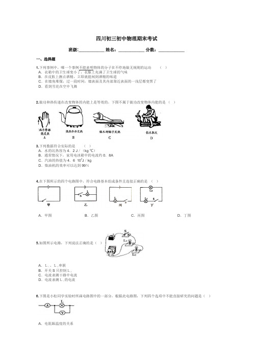 四川初三初中物理期末考试带答案解析
