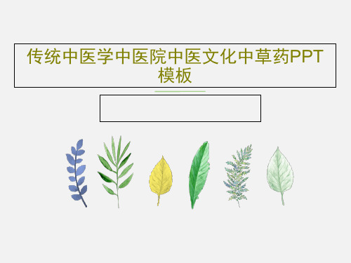 传统中医学中医院中医文化中草药PPT模板共34页