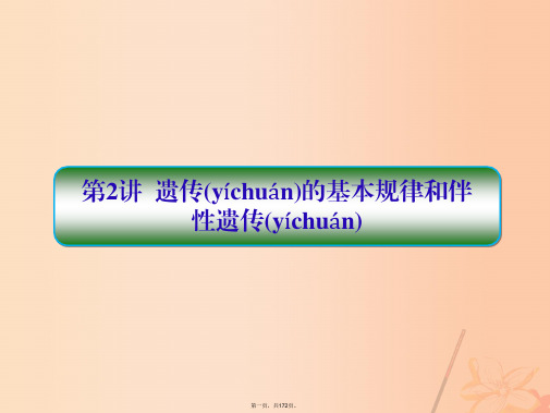 高三生物二轮复习专题四遗传、变异、进化第2讲遗传的基本规律和伴性遗传课件