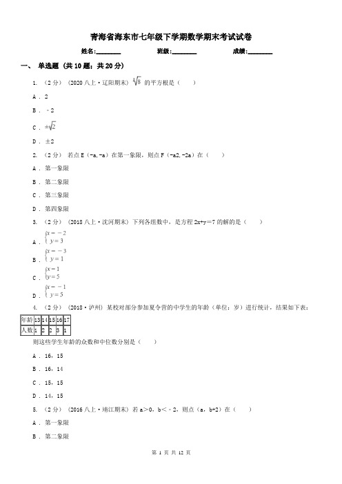 青海省海东市七年级下学期数学期末考试试卷