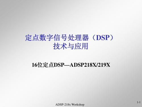 定点数字信号处理器(dsp)技术与应用