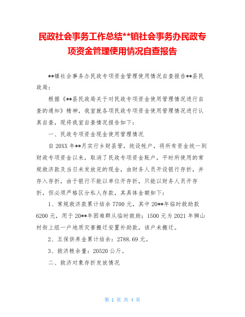 民政社会事务工作总结--镇社会事务办民政专项资金管理使用情况自查报告