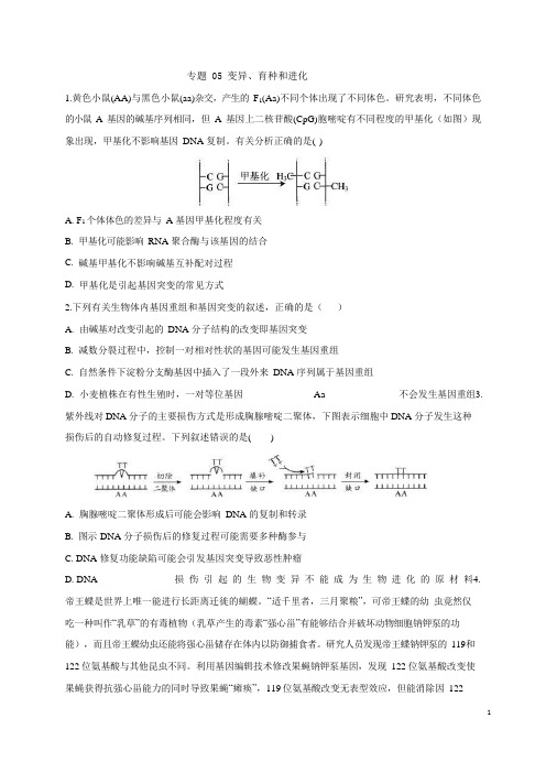 专题05 变异、育种和进化-备战2021年新高考专项训练(原卷版)