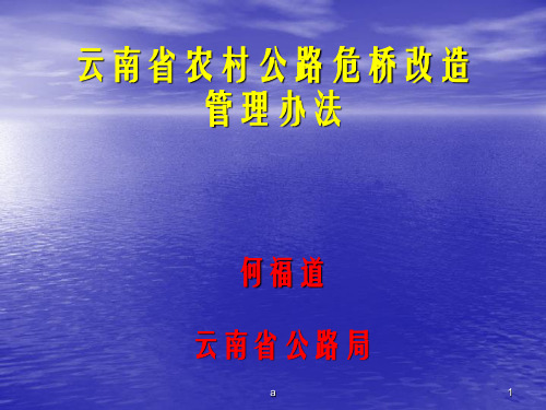 云南省农村公路危桥改造管理办法