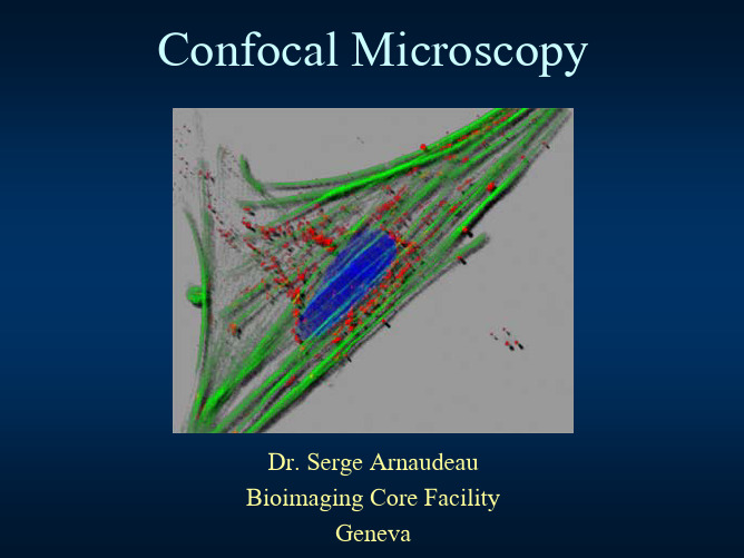 Confocal 介绍