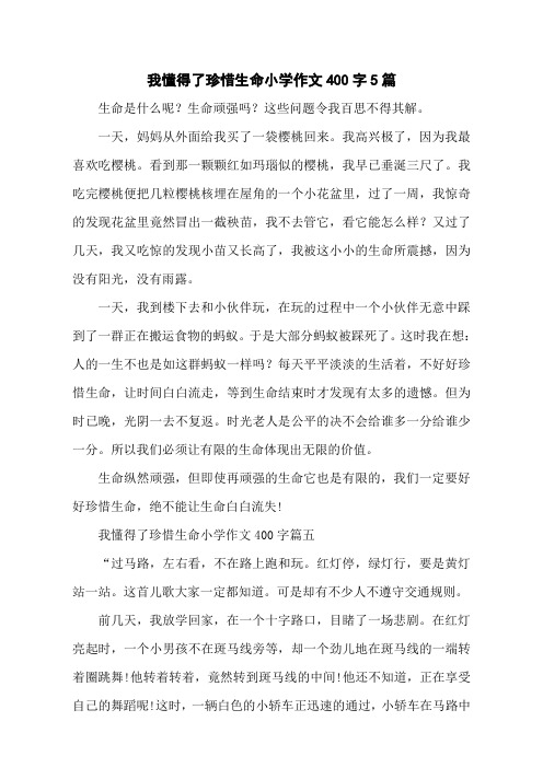 我懂得了珍惜生命小学作文400字5篇