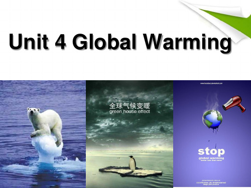 人教版新课标 选修六 Book6 Unit4 Global Warming (Reading) 课件