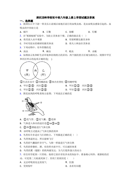 深圳龙岭学校初中部八年级上册上学期试题及答案