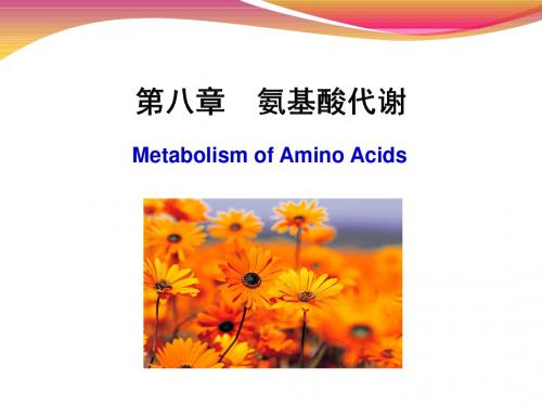 生物化学第八章氨基酸代谢-精选文档50页