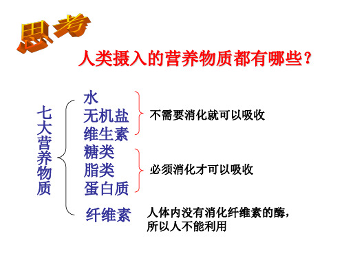 人和动物体内三大营养物质的代谢(PPT)2-1