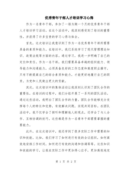 优秀青年干部人才培训学习心得