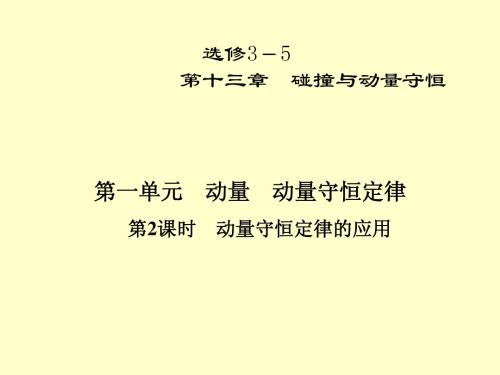 2013高考一轮复习优秀课件：第十三章碰撞与动量守恒 第一单元  第2课时