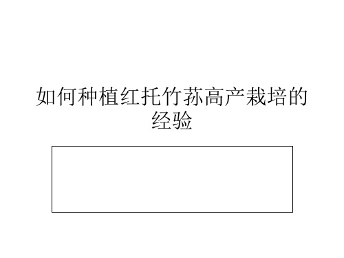 如何种植红托竹荪高产栽培的经验