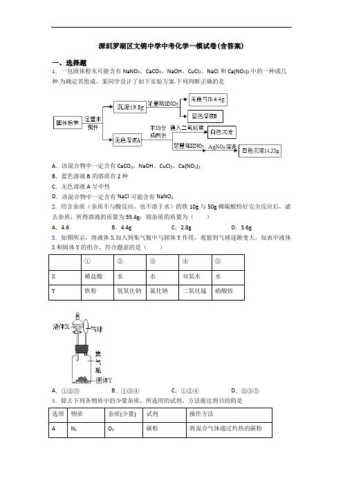 深圳罗湖区文锦中学中考化学一模试卷(含答案)