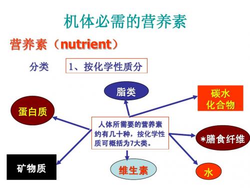 食品营养