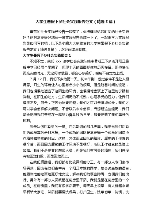 大学生暑假下乡社会实践报告范文（精选5篇）