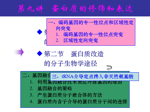 蛋白质的物理化学性质分析