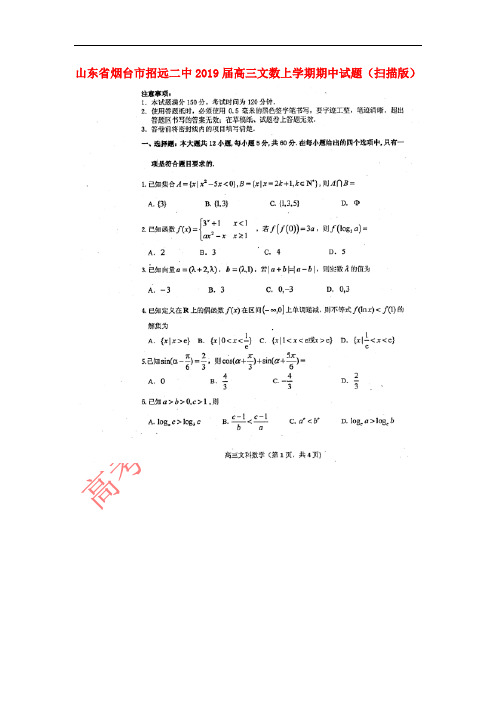 山东省烟台市招远二中2019届高三数学上学期期中试题 文(扫描版)