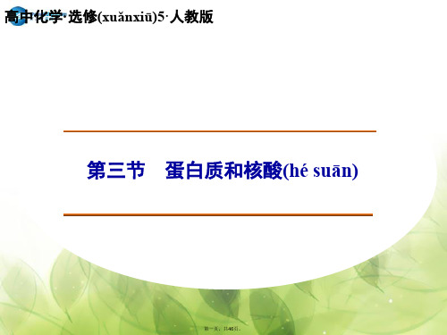 高中化学 4.3 蛋白质和核酸课件 新人教版选修5