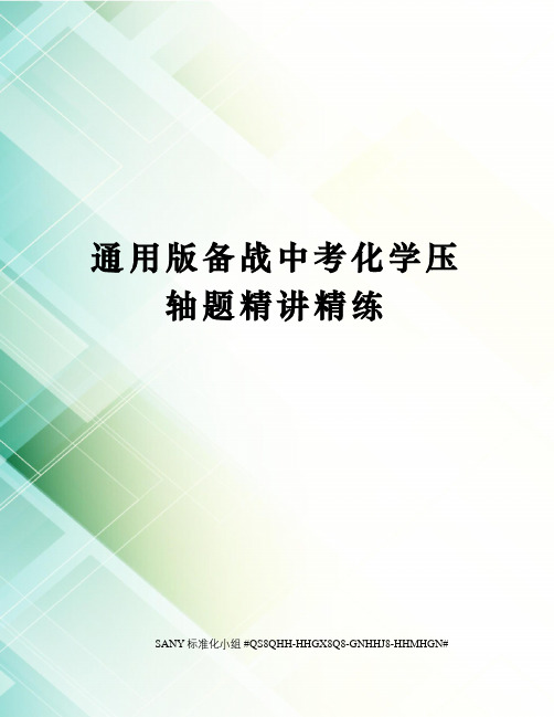 通用版备战中考化学压轴题精讲精练