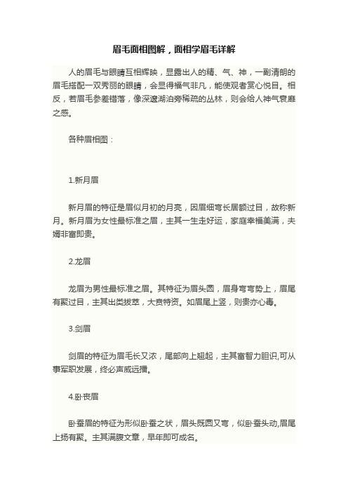 眉毛面相图解，面相学眉毛详解