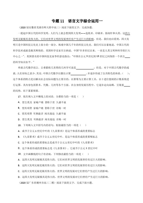 专题11  语言文字综合运用(一)(原卷版)