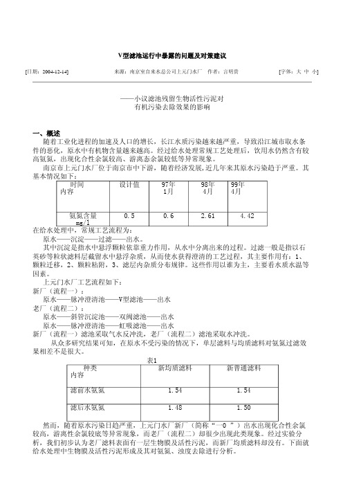 V型滤池运行中暴露的问题及对策建议11