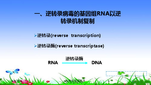 生物化学逆转录培训课件