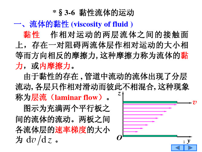 黏性流体的运动