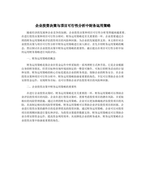 企业投资决策与项目可行性分析中财务运用策略