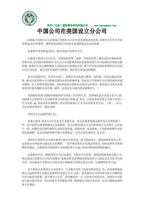 中国公司在美国设立分公司有什么要求