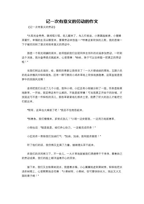 记一次有意义的劳动的作文