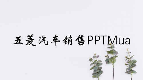 五菱汽车销售PPTMua