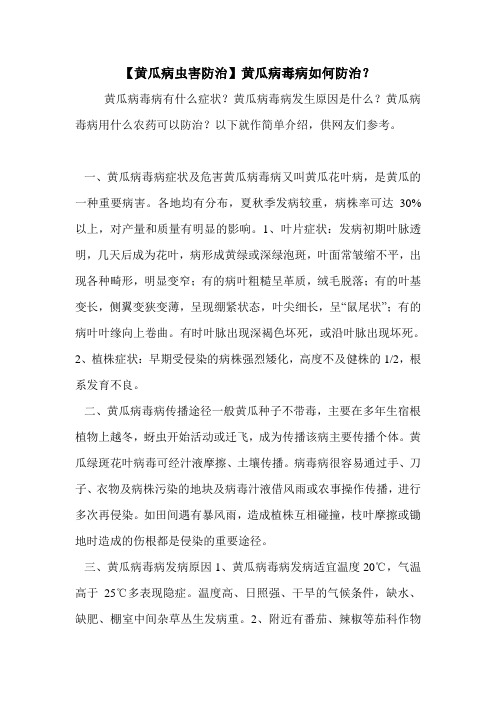 【黄瓜病虫害防治】黄瓜病毒病如何防治?