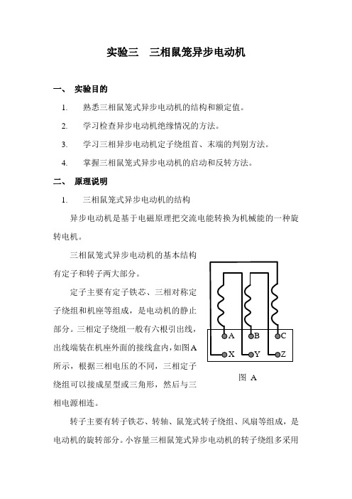 电工实验报告—异步电动机