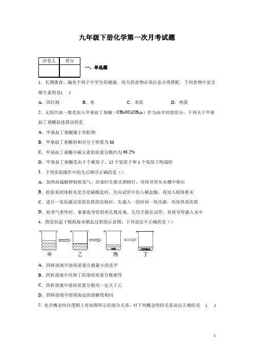 九年级下册化学第一次月考试卷带答案