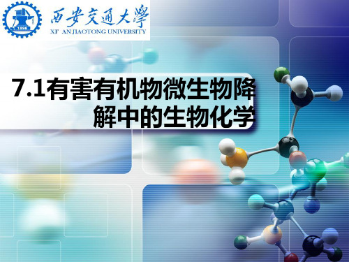 环境生物化学第七章