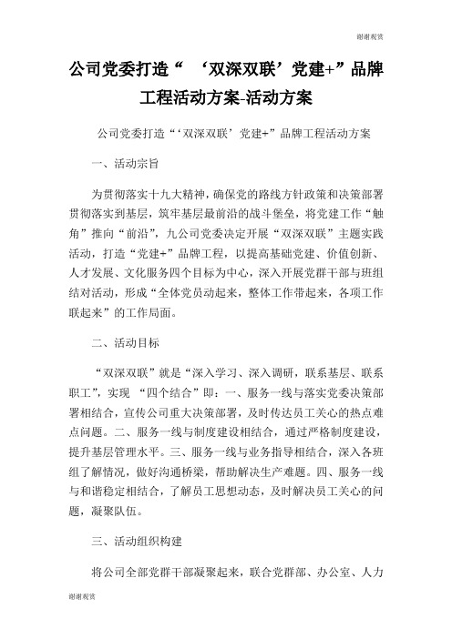 公司党委打造“ ‘双深双联’党建”品牌工程活动方案活动方案.doc