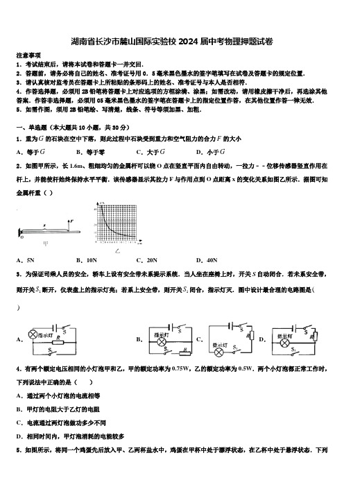 湖南省长沙市麓山国际实验校2024届中考物理押题试卷含解析