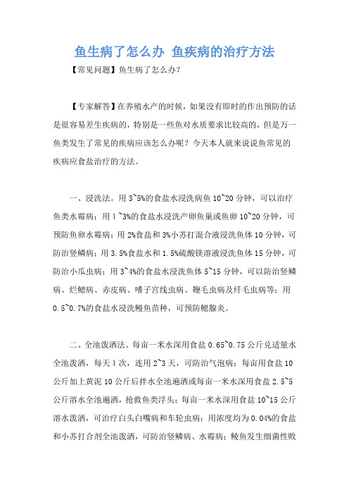 鱼生病了怎么办 鱼疾病的治疗方法