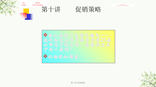 第十讲 促销策略课件