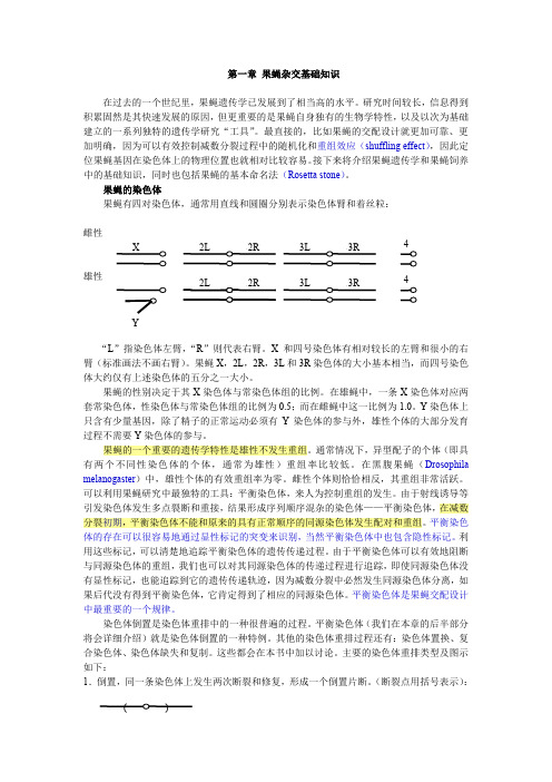 果蝇·基础知识