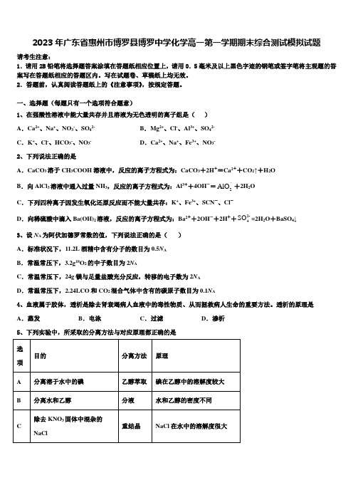 2023年广东省惠州市博罗县博罗中学化学高一第一学期期末综合测试模拟试题含解析