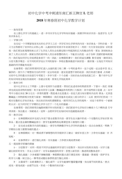 初中化学中考冲刺浦东南汇新王牌宫L老师.docx