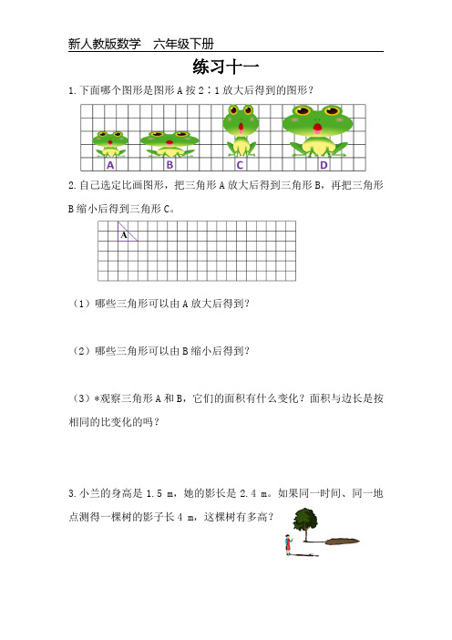 新人教版数学六年级下册课本练习题《练习十一》可编辑可打印